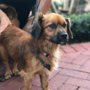 Meet your Posher, Linda